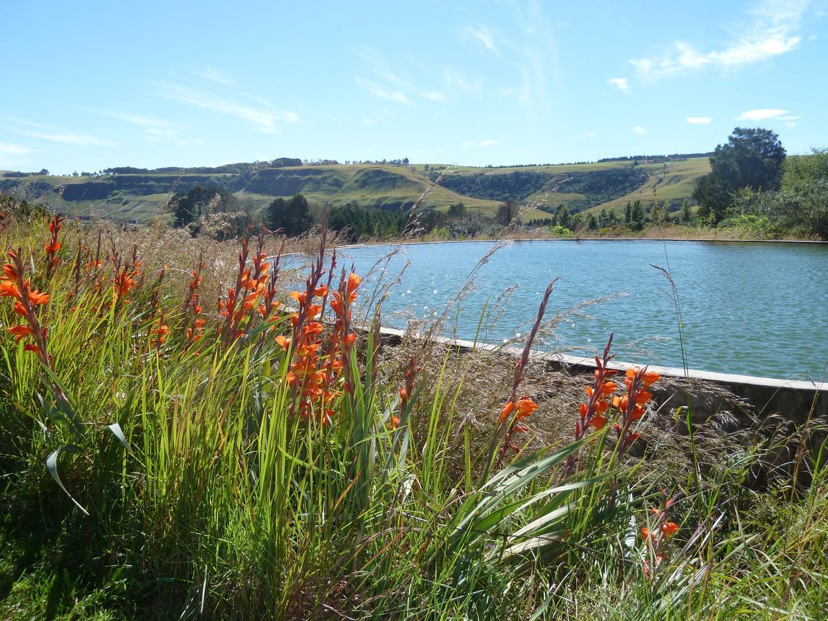 Drakensberg Inkosana Lodge Champagne Valley 外观 照片