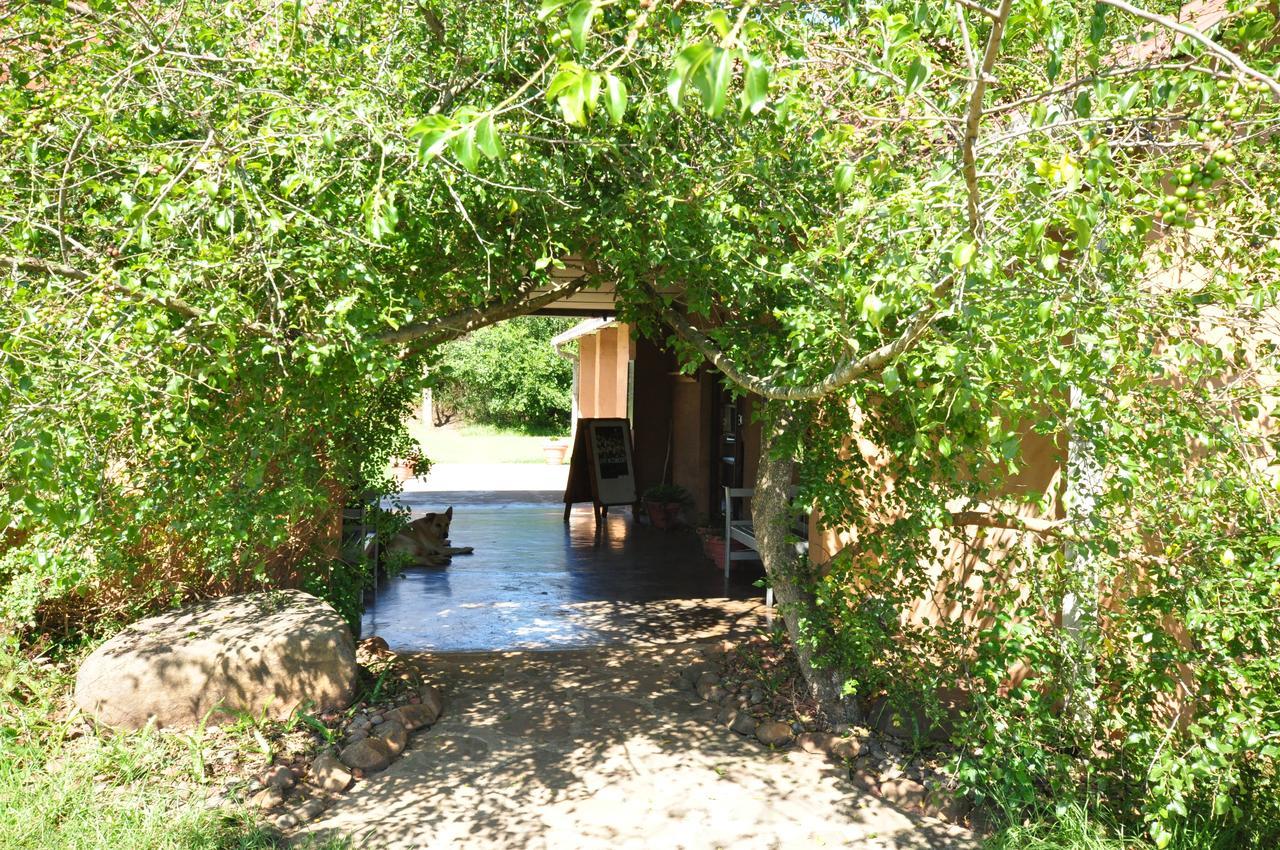Drakensberg Inkosana Lodge Champagne Valley 外观 照片