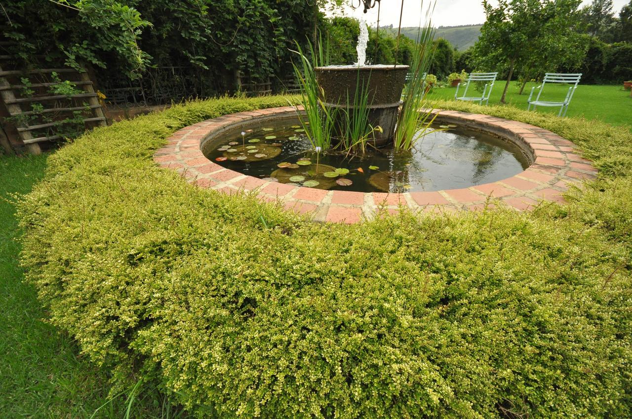 Drakensberg Inkosana Lodge Champagne Valley 外观 照片