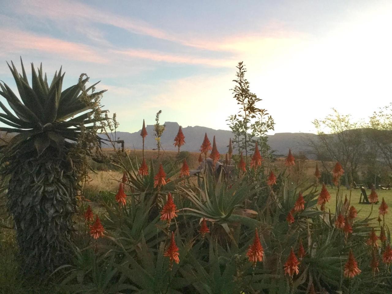 Drakensberg Inkosana Lodge Champagne Valley 外观 照片